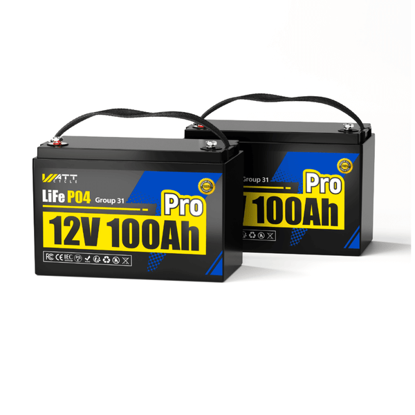 2 Stück WattCycle 12V 100Ah Pro Lithium Batterien