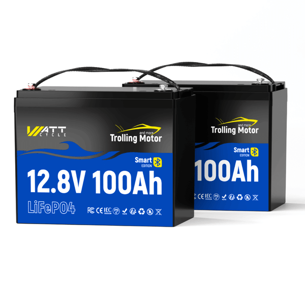 2 Stück WattCycle 12V 100Ah Lithium Batterien mit 120A BMS