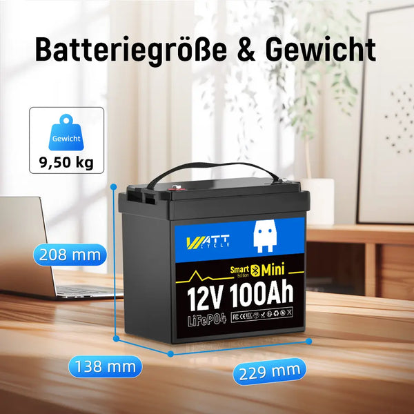Batteriegröße und -gewicht von WattCycle 100Ah LiFePO4 12V Mini Smart Batterie mit Bluetooth Überwachung