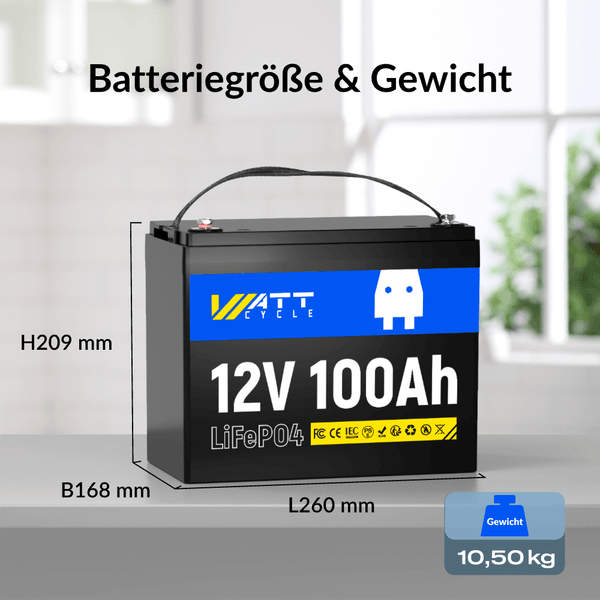 Batteriegröße und -gewicht von WattCycle 12V 100Ah LiFePO4 Batterie