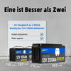 Besser als zwei LiFePO4 12V 100Ah Batterien