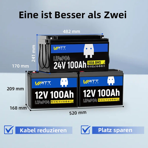Besser als zwei LiFePO4 12V 100Ah Batterien