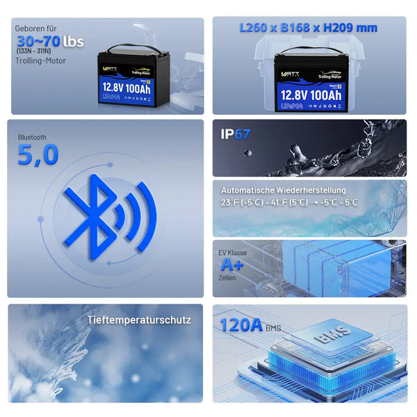 Eigenschaften von WattCycle 12V 100Ah Lithium Smart Batterie mit 120A BMS