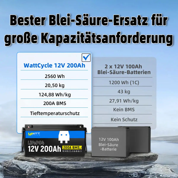 Im Vergleich zu 2 x 12V 100Ah Blei-Säure-Batterien