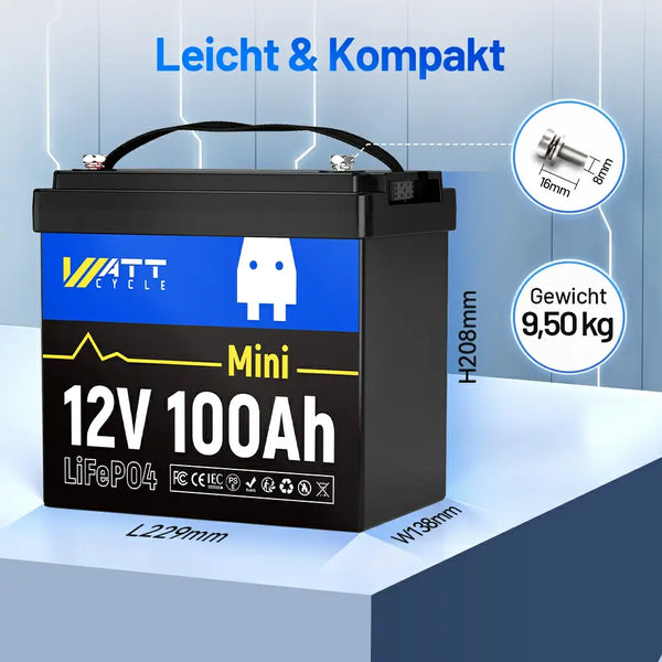 Kompakte Batteriegröße von WattCycle 12V 100Ah Mini LiFePO4 Batterie