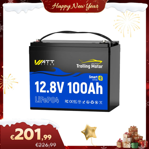 【Neujahrsspecial】12V 100Ah LiFePO4 Batterie mit 120A Smart BMS & Bluetooth
