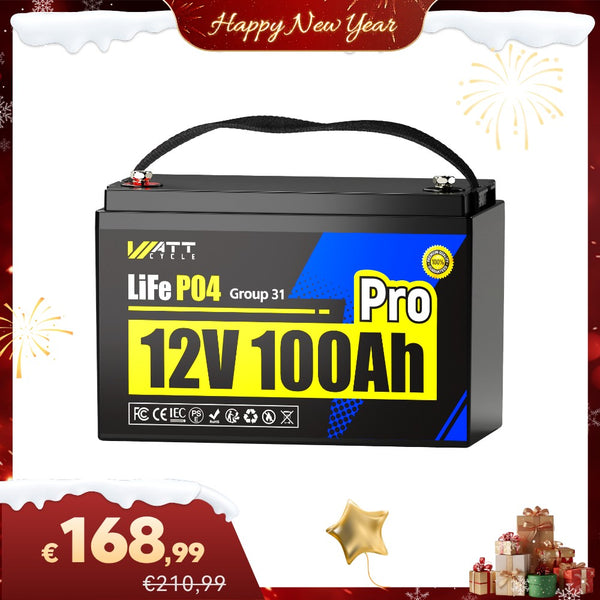 【Neujahrsspecial】12V 100Ah Pro LiFePO4 Batterie mit 110A BMS