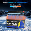 WattCycle 12V 100Ah Dual Purpose LiFePO4 Batterie, Starter- & Versorgungsbatterie mit Heizung