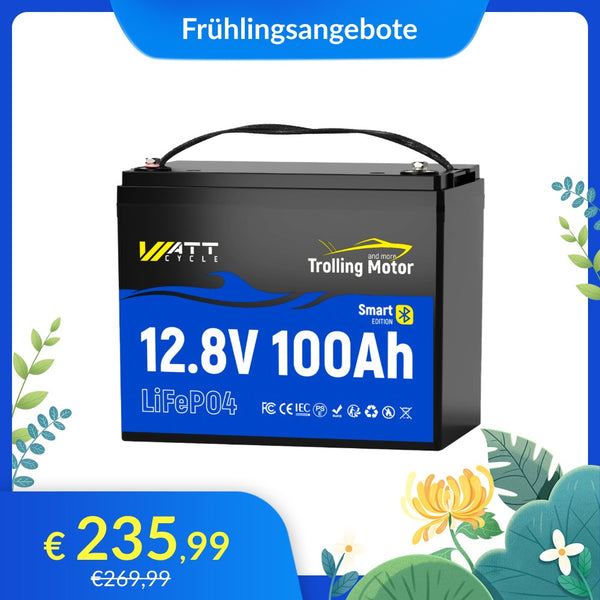 WattCycle 12V 100Ah Lithium Smart Batterie mit 120A BMS im Frühlingsangebot