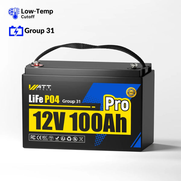WattCycle 12V 100Ah Pro Lithium Batterie mit 110A BMS