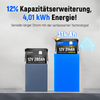 WattCycle 12V 314Ah Mini Lithium Batterie mit 4,01kWh Energie