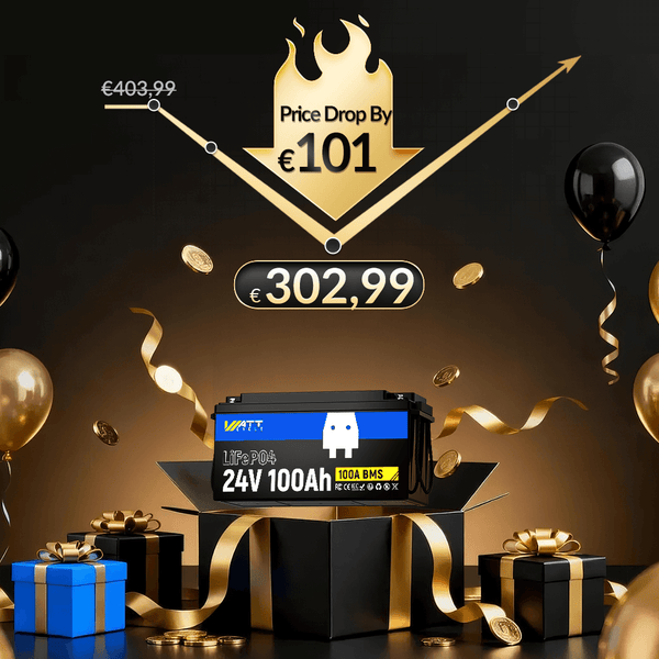 WattCycle 24V LiFePO4 Solarbatterie 100Ah, LiFePO4 für Solar, Wohnmobile & Marine mit €101 Preissenkung, €302,99 Ohne MwSt.
