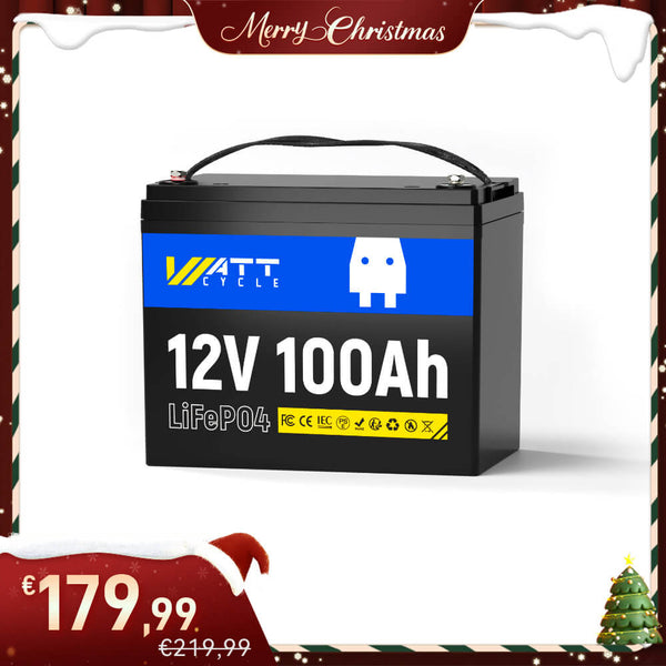 12V 100Ah LiFePO4 Batterie