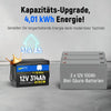 WattCycle LiFePO4 12V 314Ah Mini Lithium Batterie vs. 3 x 12V 100Ah Bleibatterien