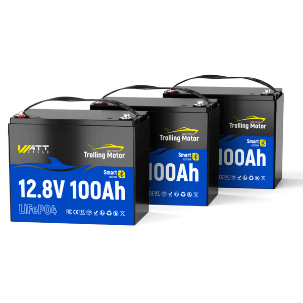 3 Stück WattCycle 12V 100Ah Lithium Batterien mit 120A BMS