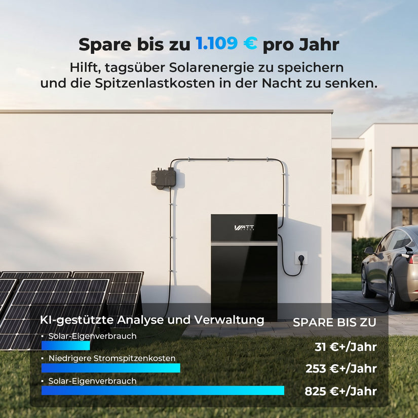 PIONEER All-in-One Stromspeicher 10kWh mit 2500W Wechselrichter
