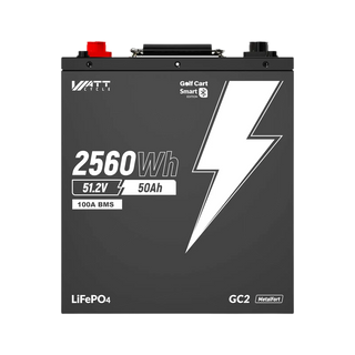 LiFePO4 48V 50Ah Batterie