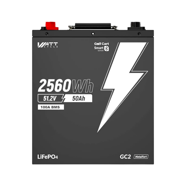 LiFePO4 48V 50Ah Batterie