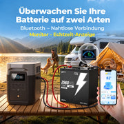 LiFePO4 48V 50Ah LiFePO4 Batteriespeicher mit PPS-Verbindungskabel, Bluetooth-Überwachung und externem Batteriemonitor