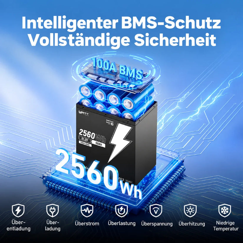 LiFePO4 48V 50Ah LiFePO4 Batteriespeicher mit PPS-Verbindungskabel und intelligentem 100A BMS-Schutz