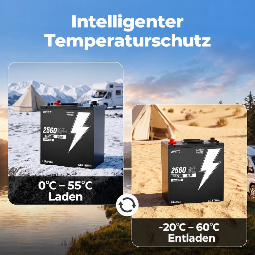 LiFePO4 48V 50Ah LiFePO4 Batteriespeicher mit PPS-Verbindungskabel und intelligentem Temperaturschutz