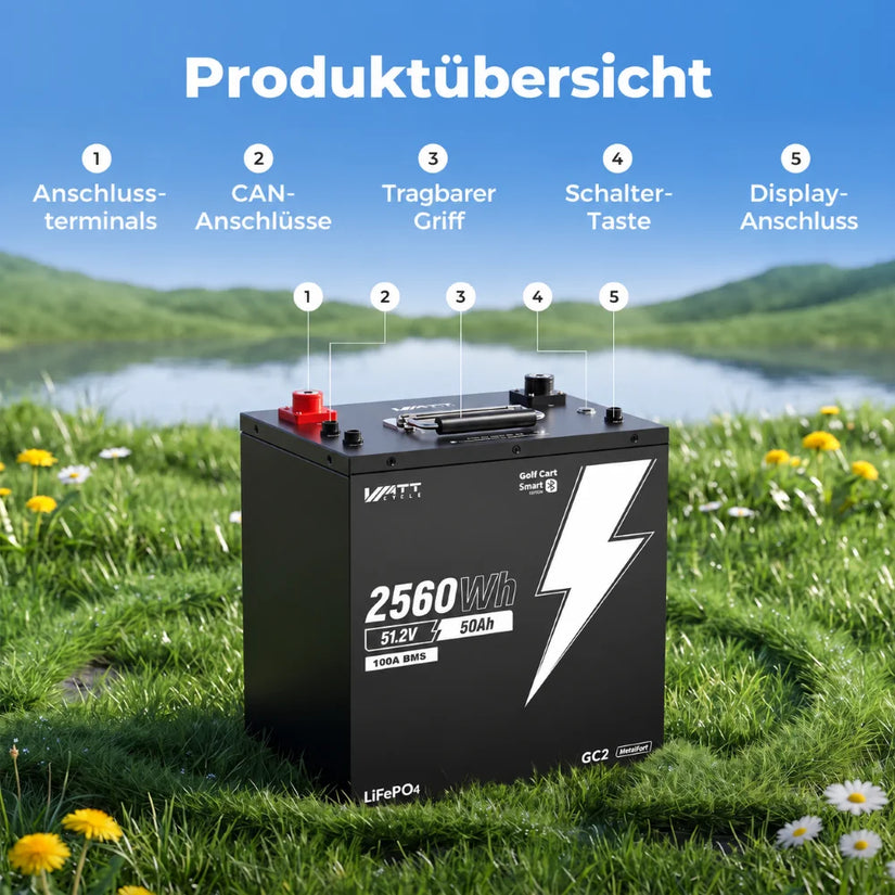 Produktübersicht des LiFePO4 48V 50Ah LiFePO4 Batteriespeichers mit PPS-Verbindungskabel und CAN-Anschlüssen