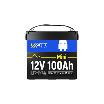 12V 100Ah Mini