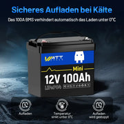 WattCycle 12V 100Ah Mini LiFePO4 Batterie mit Niedertemperaturschutz