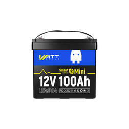 12V 100Ah Mini LiFePO4 Batterie mit Bluetooth