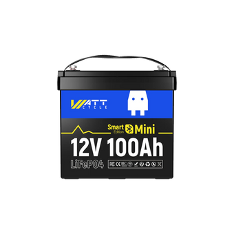 12V 100Ah Mini Smart