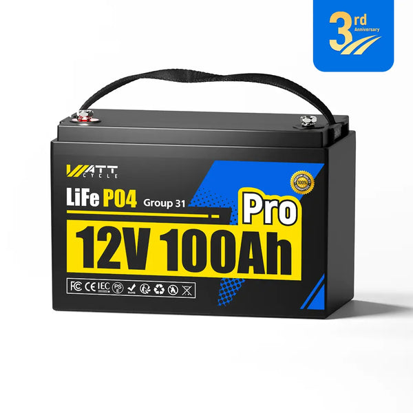 12V 100Ah Pro LiFePO4 Batterie mit 110A BMS