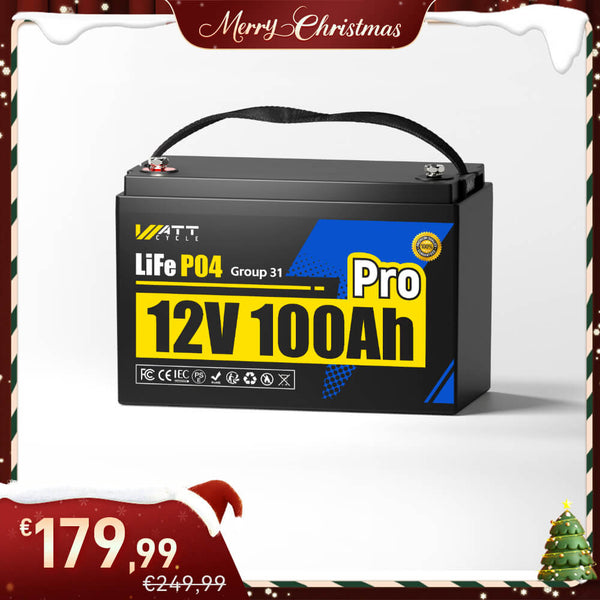 12V 100Ah Pro LiFePO4 Batterie mit 110A BMS