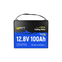 12V 100Ah LiFePO4 Batterie mit 120A Smart BMS & Bluetooth