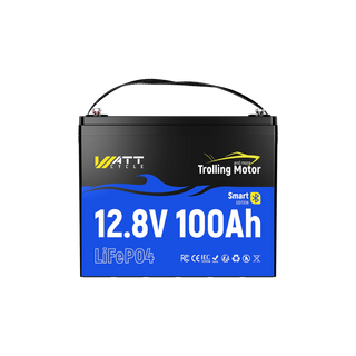 12V 100Ah LiFePO4 Batterie mit 120A Smart BMS & Bluetooth