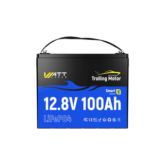 Smart Version 12V 100Ah