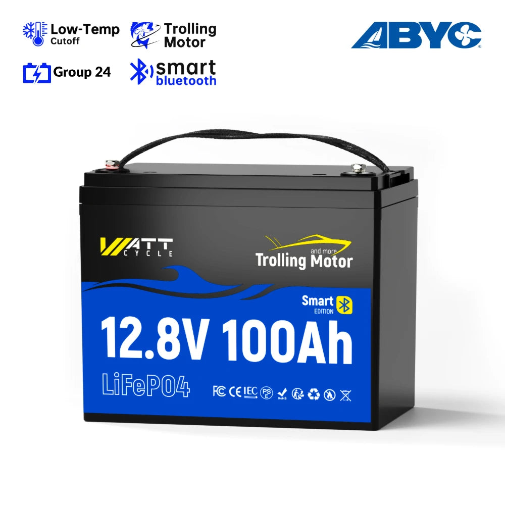 12V 100Ah LiFePO4 Batterie mit 120A Smart BMS & Bluetooth