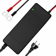WattCycle 12V 20A Batterieladegerät mit Kunststoffgehäuse für 12V Batterien LiFePO4