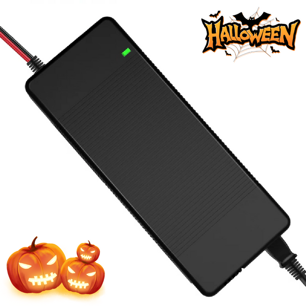 WattCycle 12V 20A Batterieladegerät mit Kunststoffgehäuse für 12V Batterien LiFePO4 im Halloween LiFePO4 Angebote
