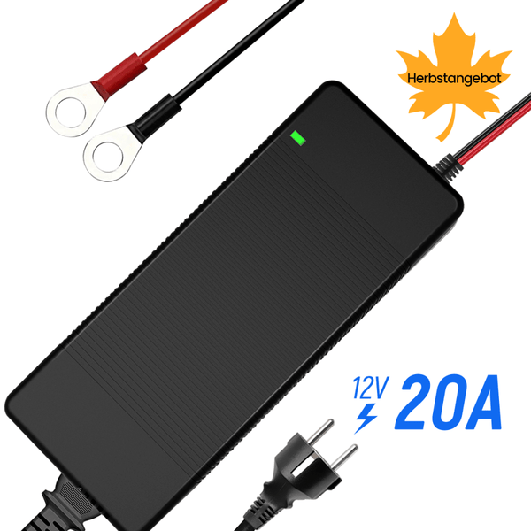 WattCycle 12V 20A Batterieladegerät mit Kunststoffgehäuse für 12V Batterien LiFePO4 im Herbstangebot