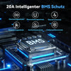 WattCycle Kleine Batterie 12V 20Ah Lithium-Ion Akku​ mit 20A BMS Schutz