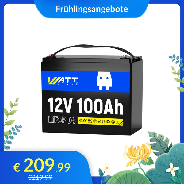 WattCycle LiFePO4 12V 100Ah Batterie im Frühlingsangebot