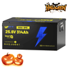 WattCycle LiFePO4 24V 314Ah Ultra Lithium Batterie mit 300A BMS & Bluetooth Überwachung im Halloween LiFePO4 Angebote