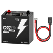 WattCycle LiFePO4 48V 50Ah LiFePO4 Batteriespeicher mit PPS-Verbindungskabel